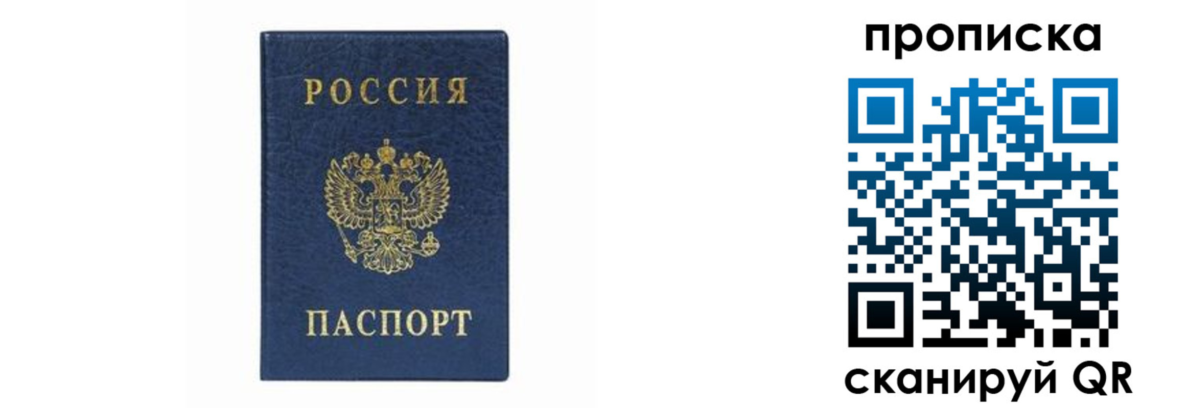 временная регистрация поиск в Камчатской области
